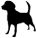 Animali