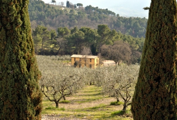 Agriturismo i Getsemani