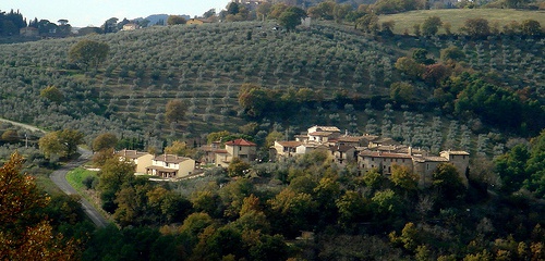 Gaglioli