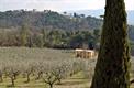Oliveto e "Casa Pineta"